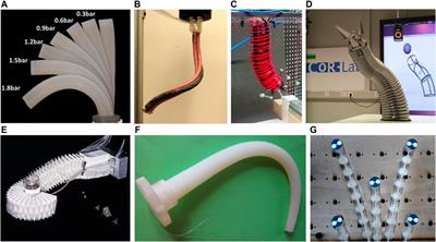 A Survey for Machine Learning-Based Control of Continuum Robots